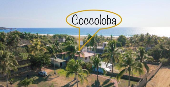 Coccoloba Guest House Puerto Escondido  Exterior foto
